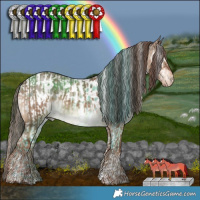 Horse Color:Liver Red Dun Brindle  and Liver Red Dun Tobiano Blanket Brindle 
