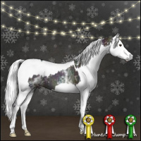 Horse Color:White Spotted Midnight Liver Red Dun Ice  and White Spotted Liver Red Dun Chinchilla 