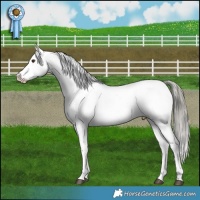 Horse Color:Liver Red Dun Mushroom Appaloosa and Liver Red Dun Mushroom Appaloosa Brindle