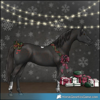 Horse Color:Liver Chestnut Tobiano Rabicano