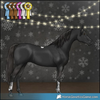 Horse Color:Liver Chestnut Tobiano Rabicano 