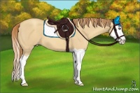 Horse Color:Gold Champagne Dun Splash
