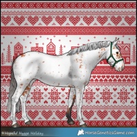 Horse Color:Bay Sabino 