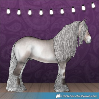 Horse Color:Platinum Liver Red Dun Onyx  and Platinum Silver Brown Onyx 