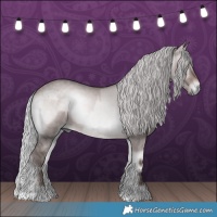 Horse Color:Platinum Liver Red Dun Onyx  and Platinum Silver Brown Onyx 