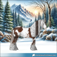 Horse Color:White Spotted Liver Chestnut  and White Spotted Liver Chestnut Sabino Splash 