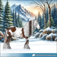 Horse Color:White Spotted Liver Chestnut  and White Spotted Liver Chestnut Sabino Splash 
