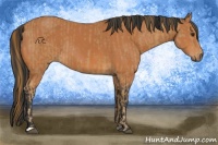 Horse Color:Chestnut  and Bay 