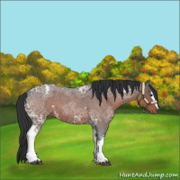 Horse Color:White Spotted Brown Ice Roan 