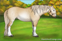 Horse Color:Gray White Spotted Palomino Dun