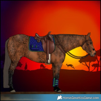 Horse Color:Void Bay Ice 