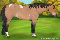 Horse Color:Bay Roan Tobiano 