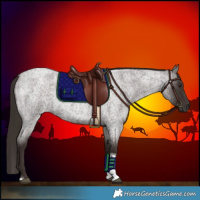 Horse Color:Liver Red Roan Tobiano 