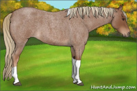 Horse Color:Red Roan Tobiano 