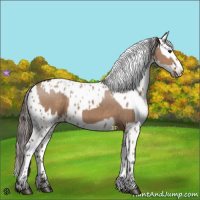 Horse Color:Liver Red Dun and Liver Red Dun Appaloosa