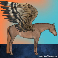 Horse Color:Liver Red Dun  and Liver Red Dun 