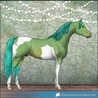 Horse Color:Gray Watercolor Bay Tobiano Rabicano