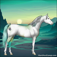 Horse Color:Gray Watercolor Bay Tobiano Rabicano