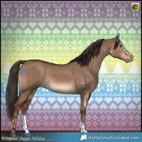 Horse Color:White Spotted Liver Red Dun and Liver Red Dun