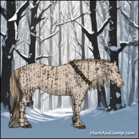Horse Color:Smoky Black  and Smoky Creme 