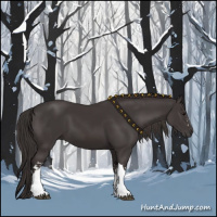 Horse Color:Smoky Black  and Smoky Black 