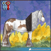 Horse Color:Liver Red Dun Brindle  and Gray Liver Red Dun Tobiano Appaloosa Brindle 