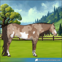 Horse Color:Liver Red Dun Tobiano  and Liver Red Dun Sabino Frame 