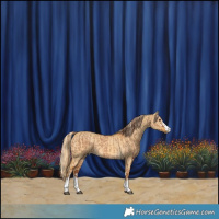 Horse Color:Red Dun  and Palomino Dun 