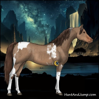 Horse Color:Liver Red Dun Tobiano  and Liver Red Dun Tobiano 