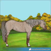 Horse Color:Liver Red Dun Mushroom Brindle 