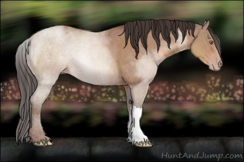 Horse Color:Sable Champagne 