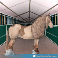 Horse Color:Liver Red Dun  and Gold Champagne Dun 