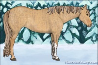 Horse Color:Red Dun  and Palomino Dun 