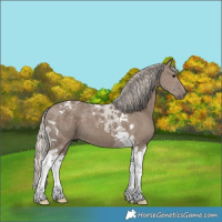 Horse Color:Silver Grullo Tobiano 