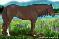 Horse Color:Liver Chestnut 