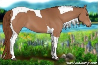 Horse Color:Chestnut Tobiano 