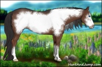 Horse Color:Liver Chestnut Frame 