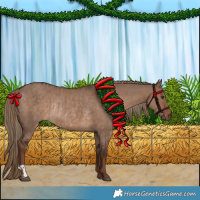 Horse Color:Liver Red Dun  and Liver Red Dun Rabicano 