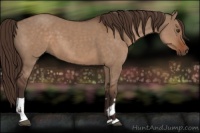 Horse Color:Liver Red Dun  and Liver Red Dun 