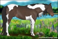 Horse Color:Liver Chestnut Tobiano