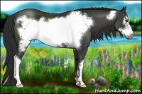 Horse Color:Liver Chestnut Frame