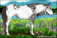 Horse Color:White Spotted Liver Chestnut Frame Blanket 