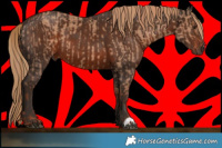 Horse Color:Red Dun  and Liver Chestnut 