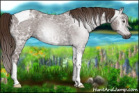 Horse Color:Gray Red Ice Roan Tobiano 