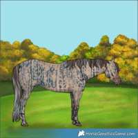 Horse Color:ERROR: UNKNOWN ANOMALY and Liver Red Dun 