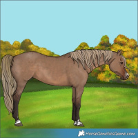 Horse Color:Liver Red Dun  and Liver Red Dun 