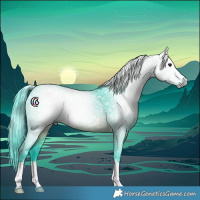 Horse Color:Gray Watercolor Brown Rabicano