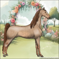 Horse Color:Red Dun and Red Dun