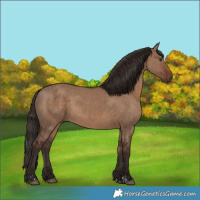 Horse Color:Liver Red Dun  and Liver Red Dun 