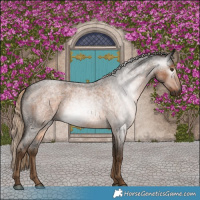 Horse Color:Gray Chocolate Palomino Roan 